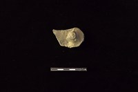 藏品(陶蓋鈕)的圖片